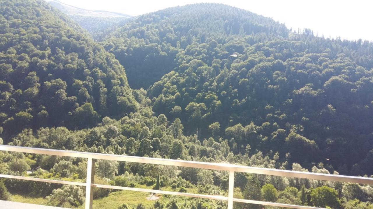 Rai Apartment Sinaia