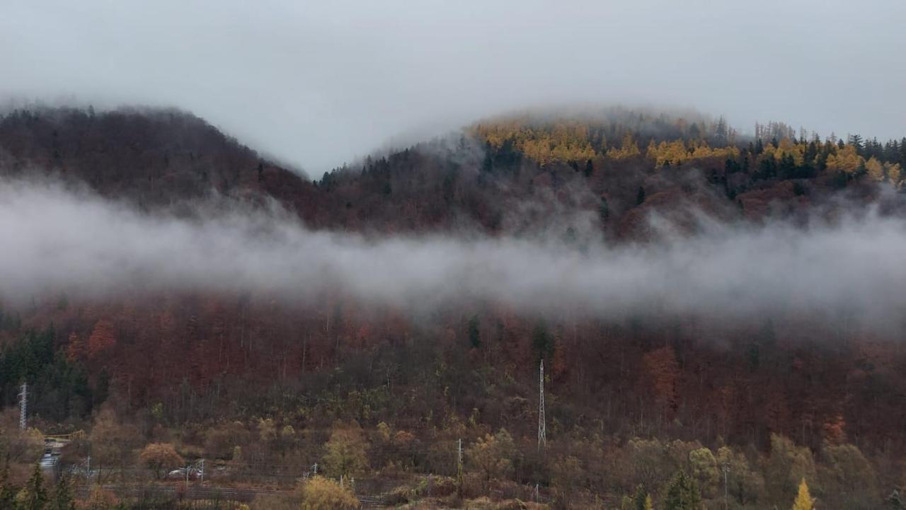 Rai 公寓 Sinaia