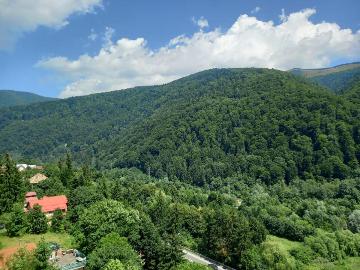 Rai Apartment Sinaia
