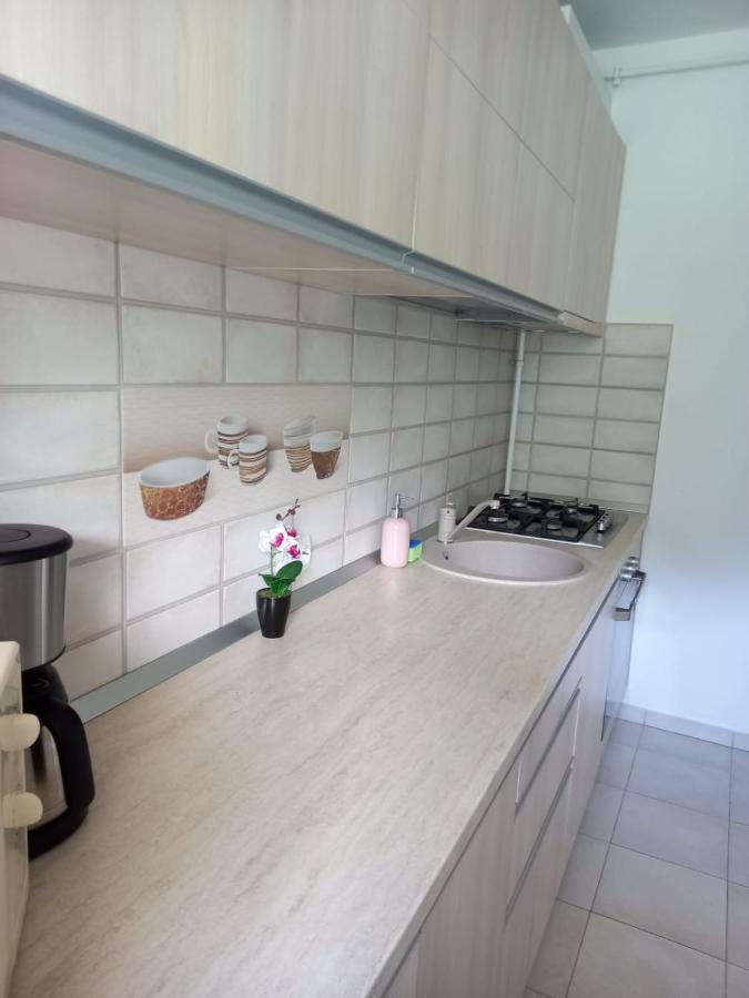 Apartment Rai Sinaia